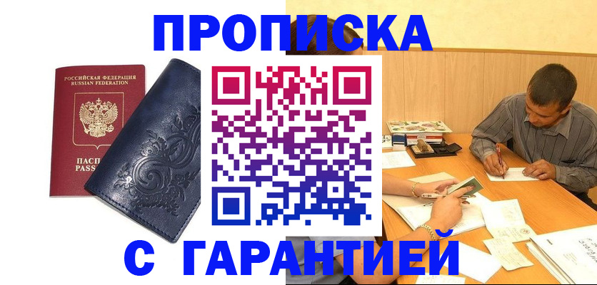 временная регистрация госуслуги в Никольском